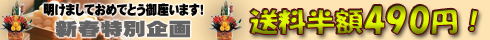�V�t���ʊ�� �������z��